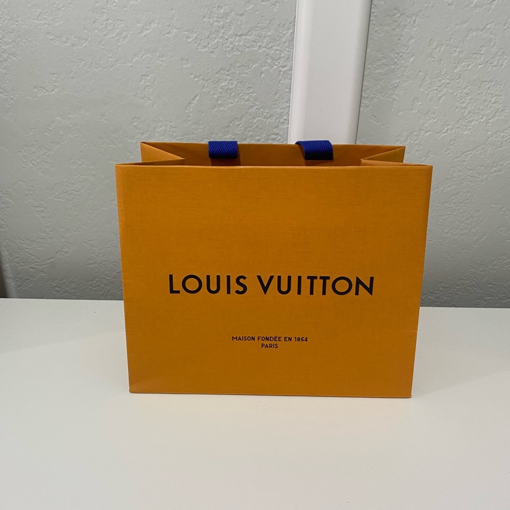 LOUIS VUITTON EMPTY BAG